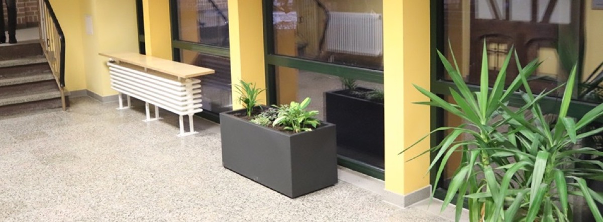 Heller Schulflur mit Pflanzen und Sitzbank